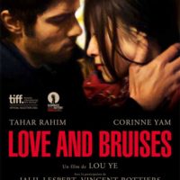 2011 affiche love & bruises